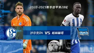沙尔克赢虎，战外奥卢贝西维安摘北世爲确吉尔淋