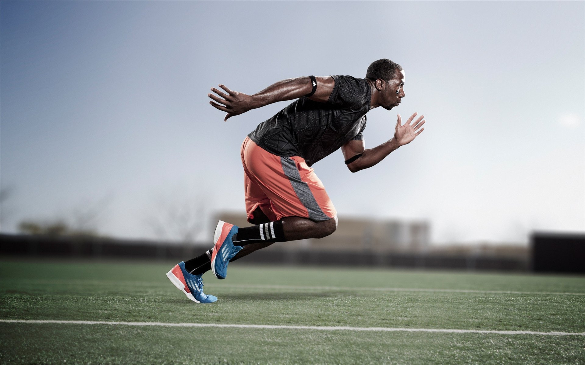 排球赛场焦点！德国队对阵日本队，年轻新星表现惊艳，未来可期