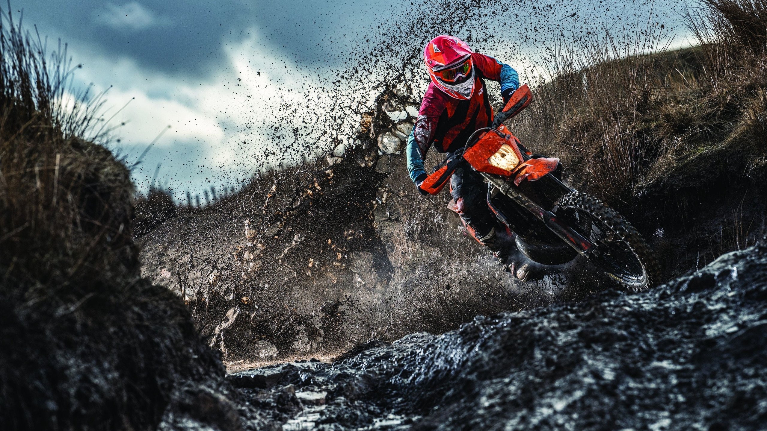 东契奇回归赛场，爆冷首场状态亮眼，独行侠观众沸腾！